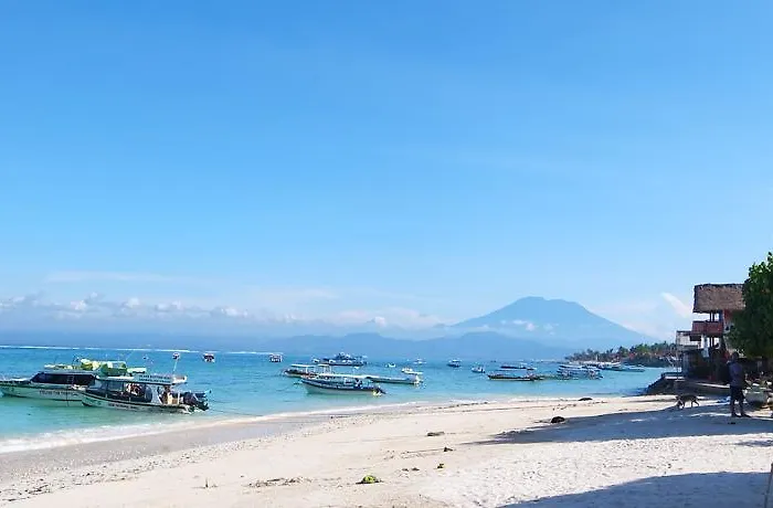 Lembongan Reef 3*